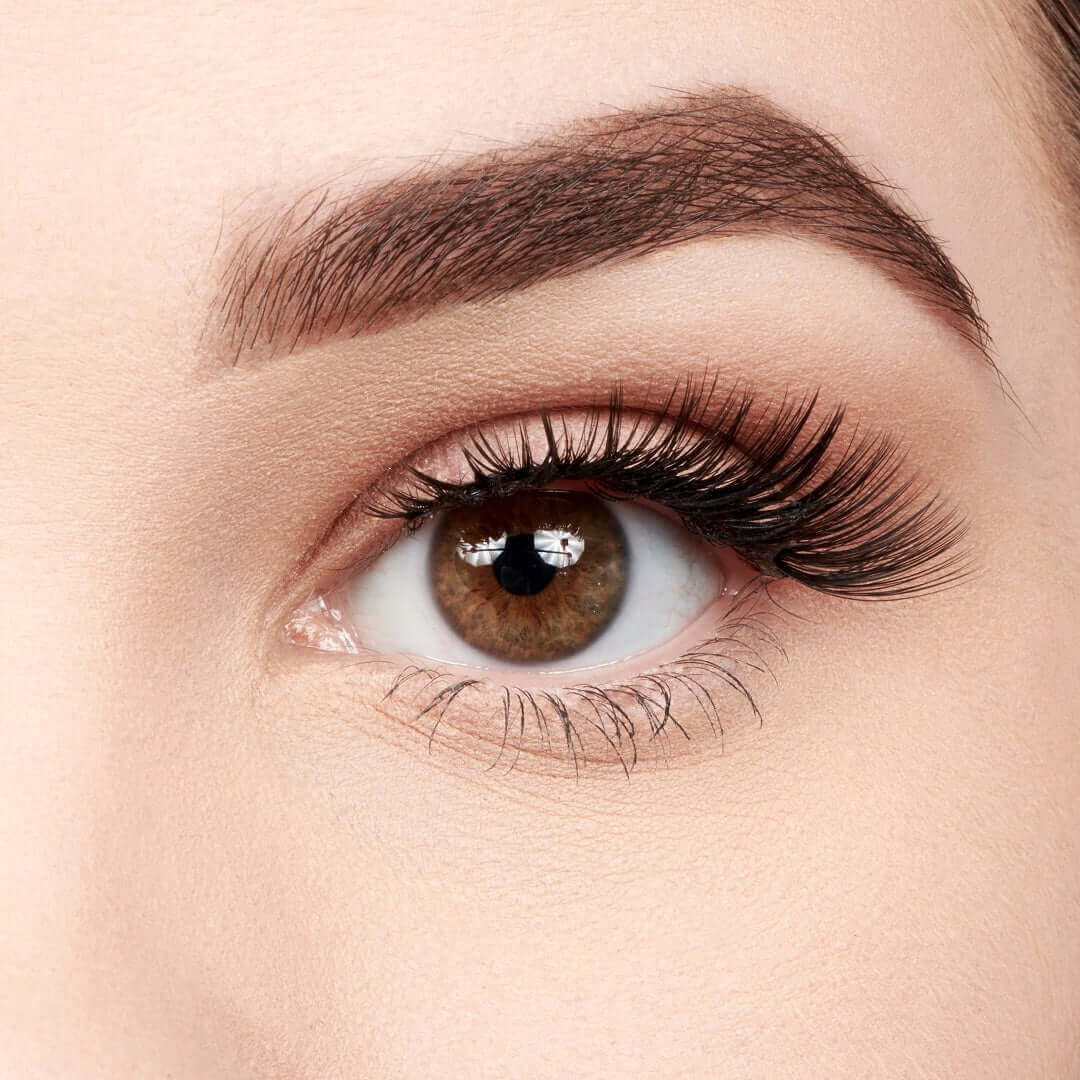 PRO Eyelashes - Image 2